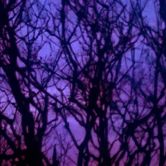 Two Lost Souls