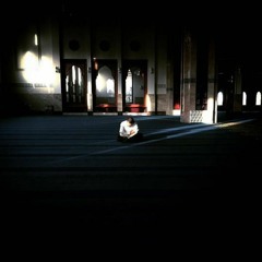 لاَ يُؤَاخِذُكُمُ اللّهُ بِاللَّغْوِ فِي أَيْمَانِكُمْ وَلَكِن - مزمار من مزامير آل داود