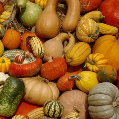 Tri Neveste Tikve Brale/Three Brides Harvest Pumpkins (die ungeraden cover)