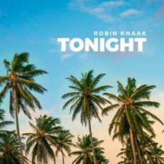 Robin Knaak - Without You