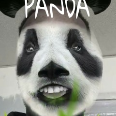 Killa Kev -PANDA FREESTYLE