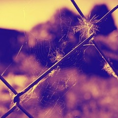 Morpho - Tercer Filtro (Prod.Morpho)