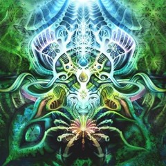 Nogoa ~ Universal Mind (Medulla Oblongata ) Darkpsy / Forest Psy Mix