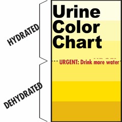 Hot Work? You Need A Urine Color Chart
