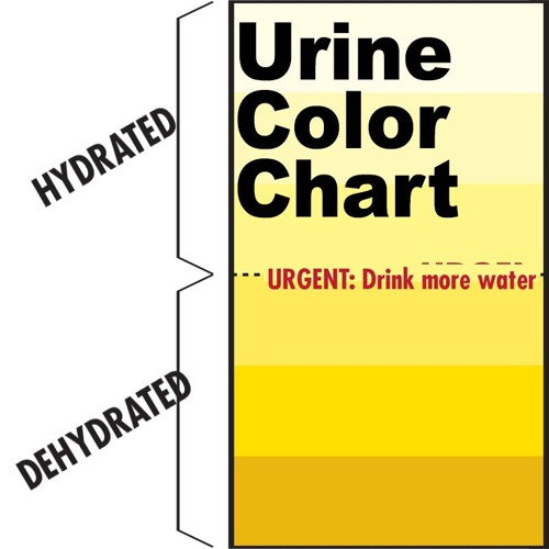 Hot Work? You Need A Urine Color Chart
