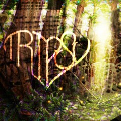 Dmitri SFC - Music Is (Tripsy Remix)