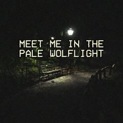 Meet Me In The Pale Wolflight