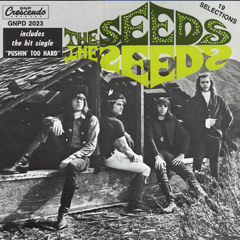 The Seeds: Can't Seem To Make You Mine