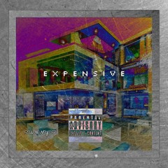 Sunny P - Expensive
