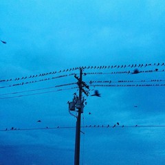 Wires Above The Ground