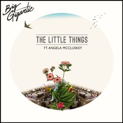 The Little Things (feat. Angela McCluskey)- Big Gigantic
