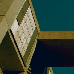 Public Transit (Demo)