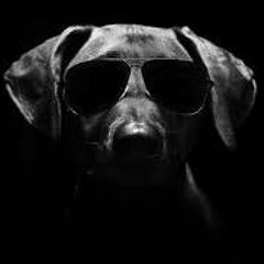 Cool TryHardNinja songs