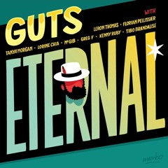 [EXCLU] Guts - Eternal (2016) • Album snippet mixed by Lefto • LeMellotron.com