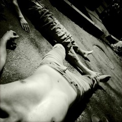 Нечёткость ласточки