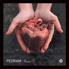Pedram - 'Walked In'