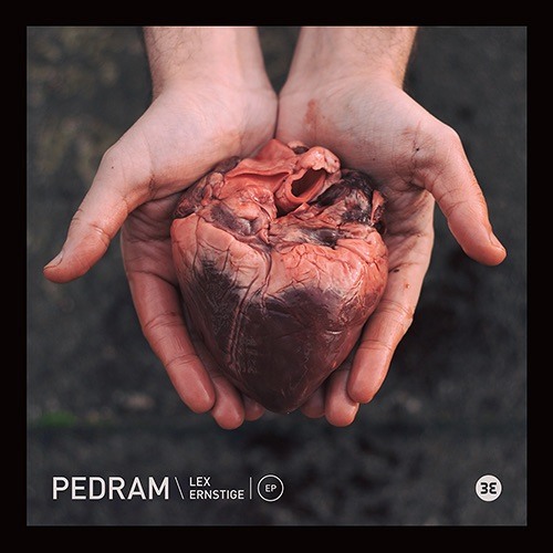 Pedram - 'Walked In'