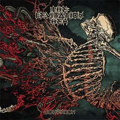The Levitation Hex - Disrate