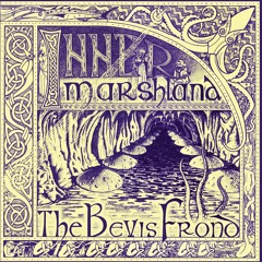 The Bevis Frond - Reflections In A Tall Mirror (Taken From 'Inner Marshland')