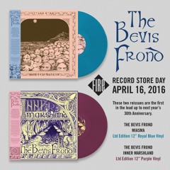 The Bevis Frond - 'Miasma' & 'Inner Marshland' Reissue Sampler