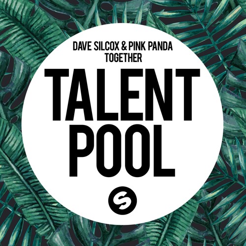 Out Now: Dave Silcox & Pink Panda - Together