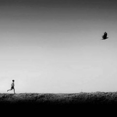 أملٌ يلوح بأفقنا قُرب السّماء