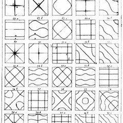 5 Campeon de ubicacion