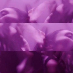 Roaming // West Condo(snippet)