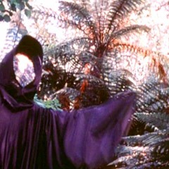 Buddhist Monk Goes On Disco Rampage And Meets Tiesto