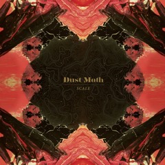 Dust Moth - Corrections