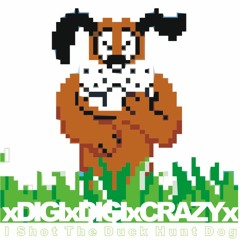 DIGI DIGI CRAZY - I Shot The Duck Hunt Dog [FREE DOWNLOAD]