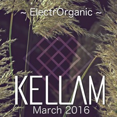 KELLAM:  MARCH 2016 - ElectrOrganic