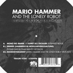 Mario Hammer - Sirimiri (Thyladomid & Jonas Mantey Retouch)