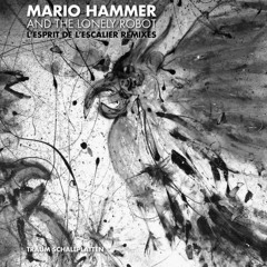 Mario Hammer - Chakwaira (Jonas Mantey Reinterpretation)