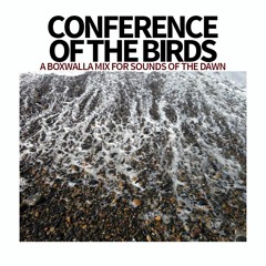 Conference Of The Birds - A Boxwalla Mix for Sounds Of The Dawn