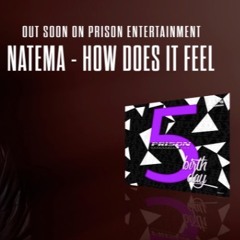 PROMO 001 - Natema - How Doest It Feel