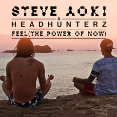 Steve Aoki & Headhunterz - Feel (The Power of Now)