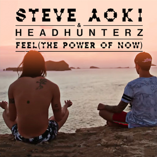 Steve Aoki & Headhunterz - Feel (The Power of Now) [Point Break Edit]