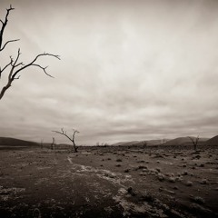 Desolate