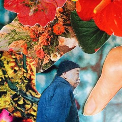 seeing colors