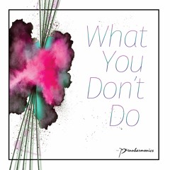 What You Don't Do (Preview)