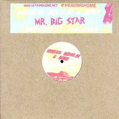 Markus Nikolai & Nina - Mr. Big Star (Time Too Short To Finish The Mix)