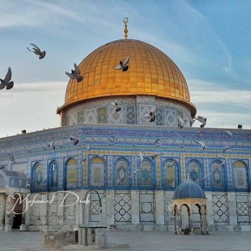 أقسمنا يا وطني بأنا راجعون - المنشد أبو راتب