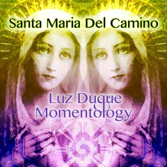 Luz and Momentology(Santa Maria Del Camino )