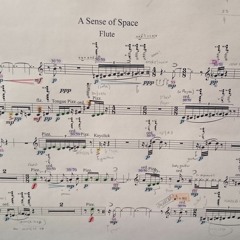 A Sense Of Space