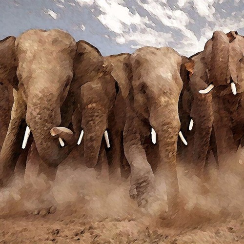 Flava D- In the Dance/ Cause and Affect- Stampede