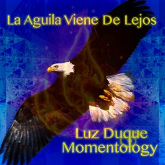 Luz and Momentolog (La Aguila Viene De Lejos)