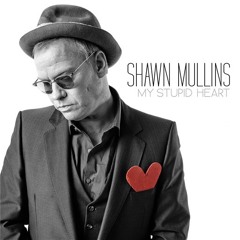 Shawn Mullins rats outs his Stupid Heart, performs live! INTERVIEW