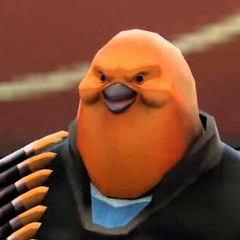 Berds