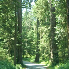 Res - They Say Vision (Jordana's CDM Mix)